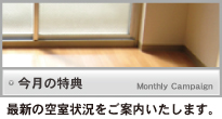 �������ŵ